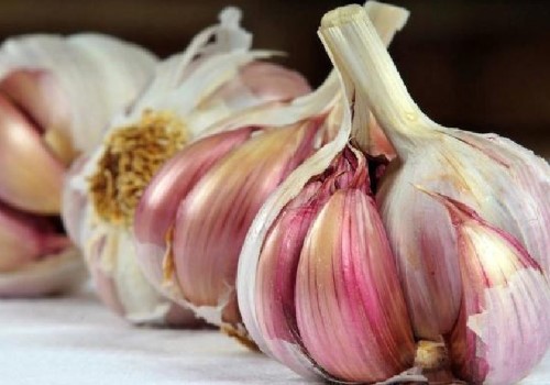 تصویر 4 از سیر قرمز همدان سالم مناسب فرآوری و بسته بندی حرفه ای